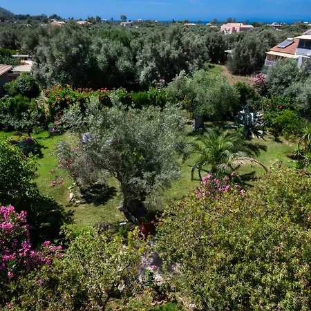 Apartment Fenia